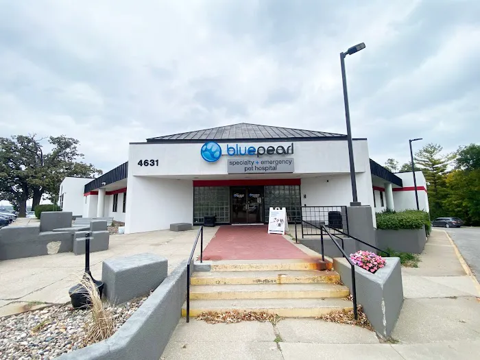 BluePearl Pet Hospital 3