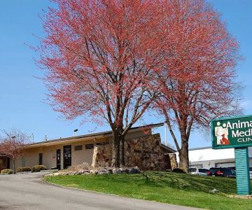 Animal Medical Clinic