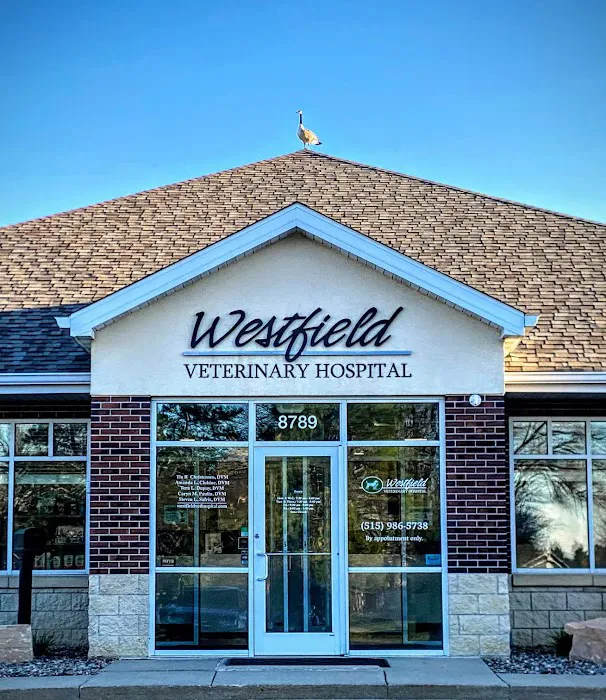 Westfield Veterinary Hospital 1
