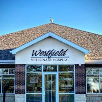 Westfield Veterinary Hospital ico