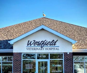 Westfield Veterinary Hospital