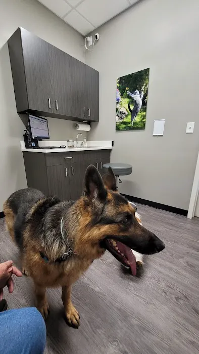 Westfield Veterinary Hospital 6