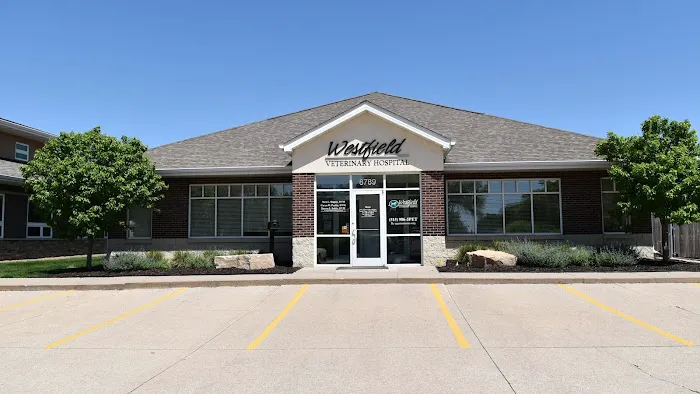 Westfield Veterinary Hospital 2