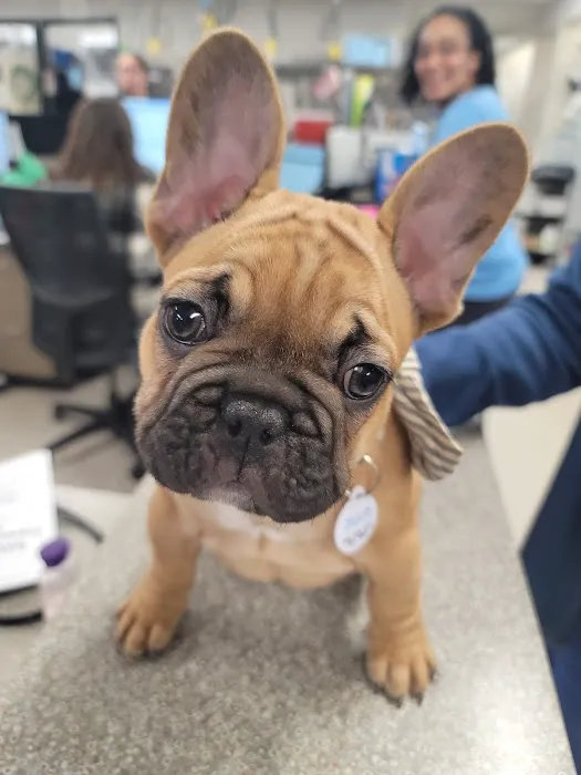 Northwest Veterinary Hospital 3
