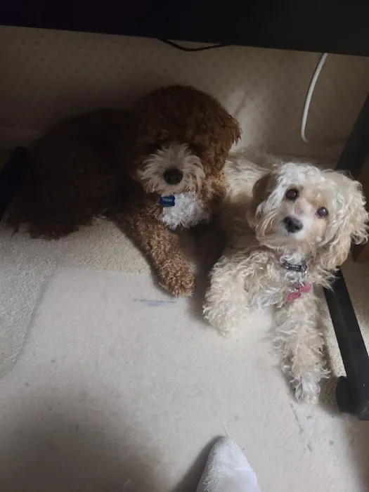 Northwest Veterinary Hospital 6