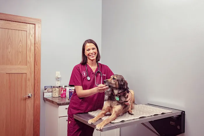 Prairie View Animal Hospital 3