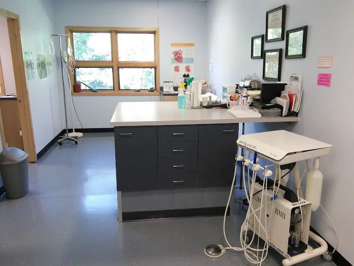West Side Veterinary Clinic 1
