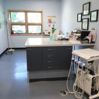 West Side Veterinary Clinic ico