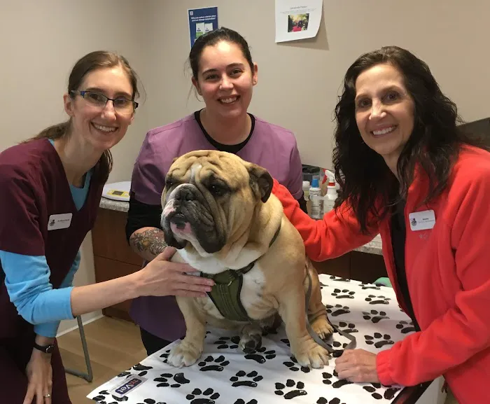 St Francis Veterinary Care 4