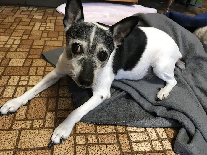 Sunny Ridge Veterinary Services LLC. 3