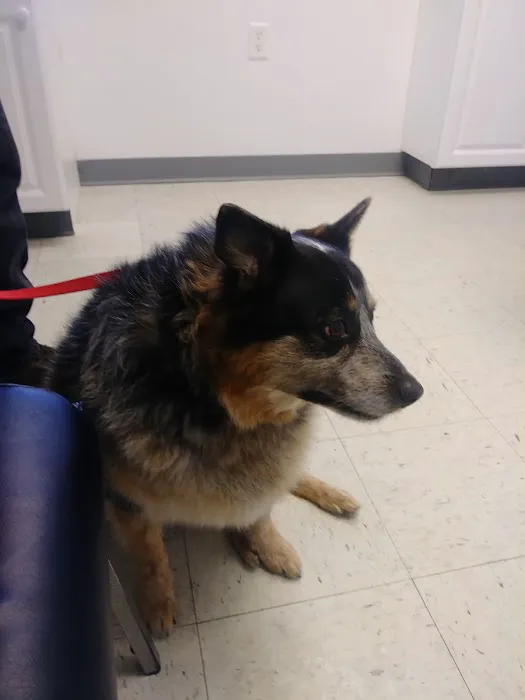 Sunny Ridge Veterinary Services LLC. 1