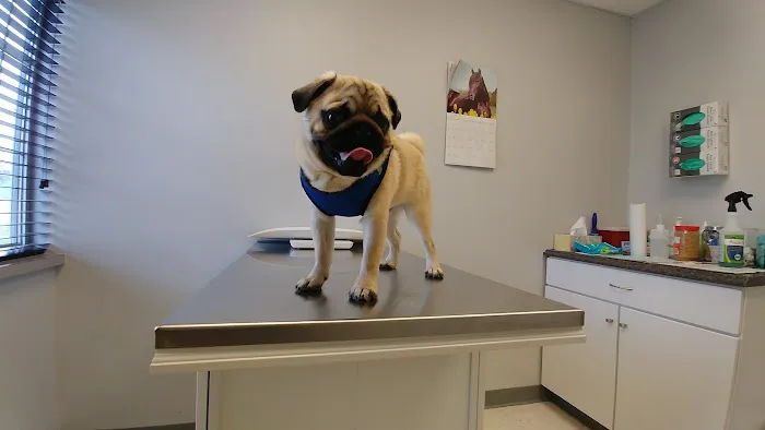 Sunny Ridge Veterinary Services LLC. 4