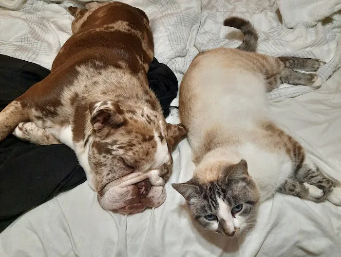 Sunny Ridge Veterinary Services LLC. 8