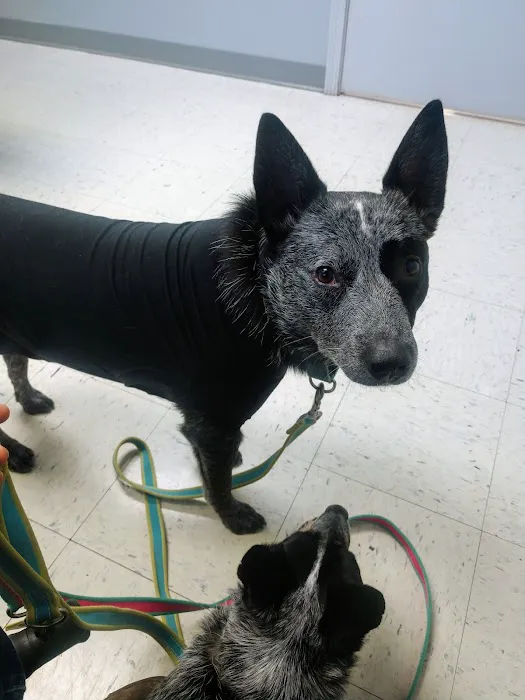 Sunny Ridge Veterinary Services LLC. 10
