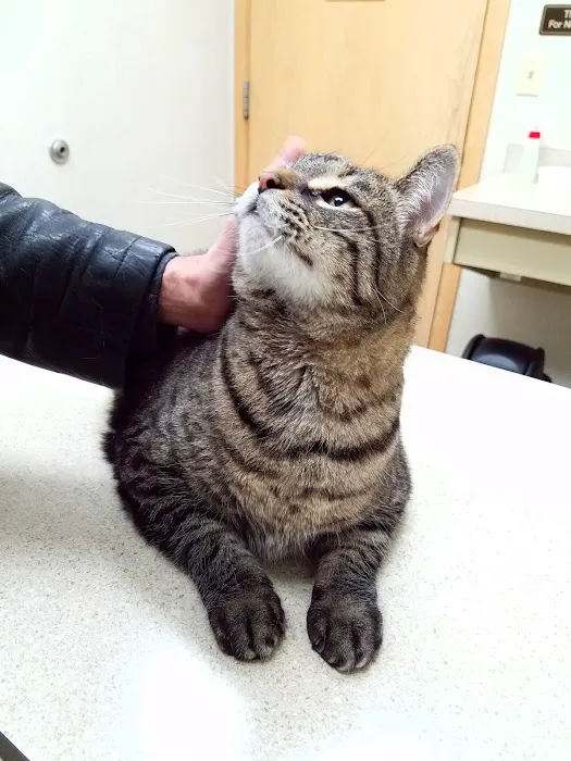 Crago Veterinary Clinic 1