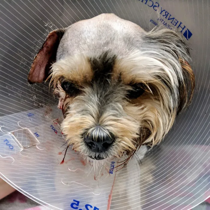 Crago Veterinary Clinic 7