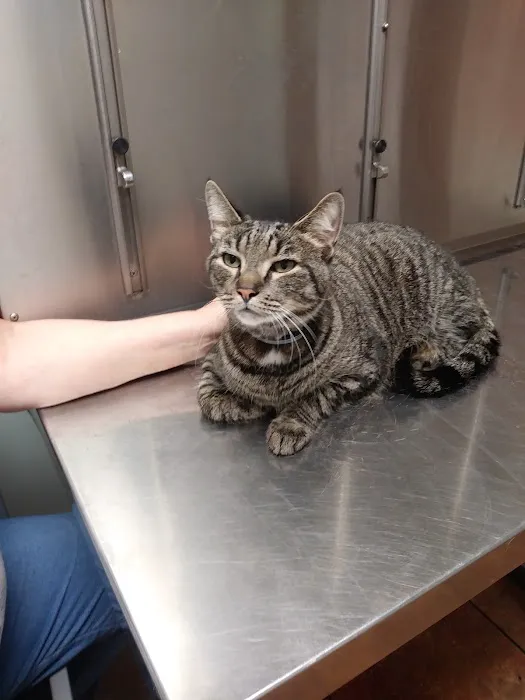 Ebert Animal Hospital 3