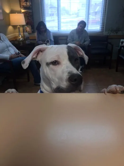 Ebert Animal Hospital 9