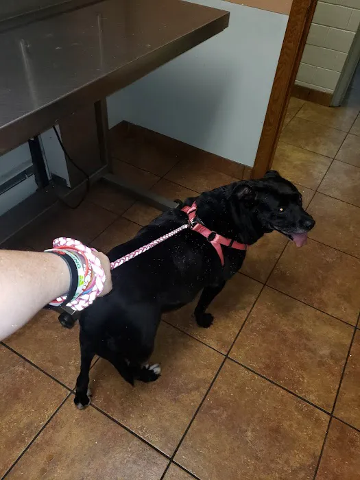 Ebert Animal Hospital 7