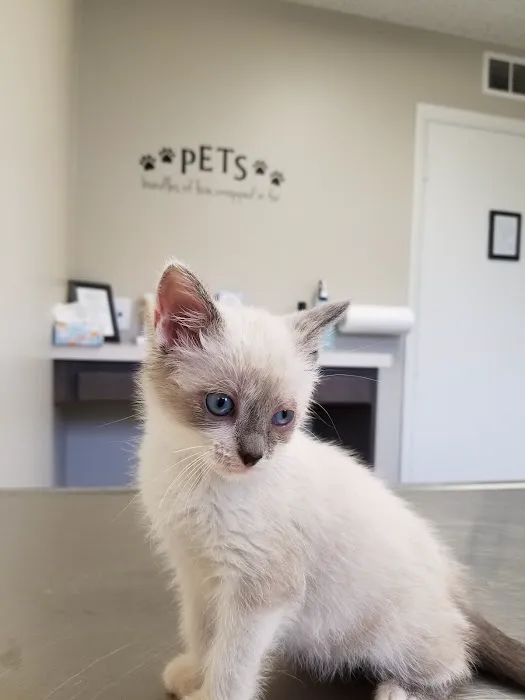 Doctors Park Veterinary Clinic 5