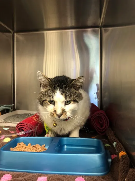 Doctors Park Veterinary Clinic 1