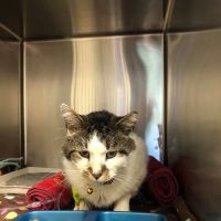 Doctors Park Veterinary Clinic ico