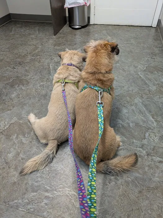 Doctors Park Veterinary Clinic 6