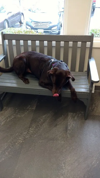 Doctors Park Veterinary Clinic 8