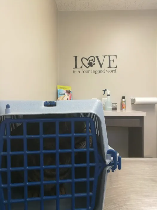 Doctors Park Veterinary Clinic 10