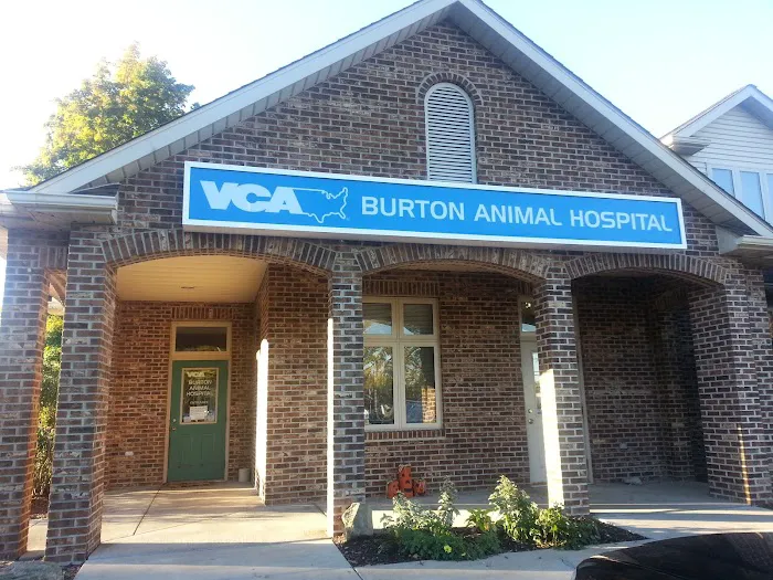 VCA Burton Animal Hospital 3