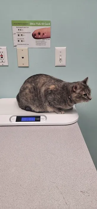 VCA Burton Animal Hospital 2