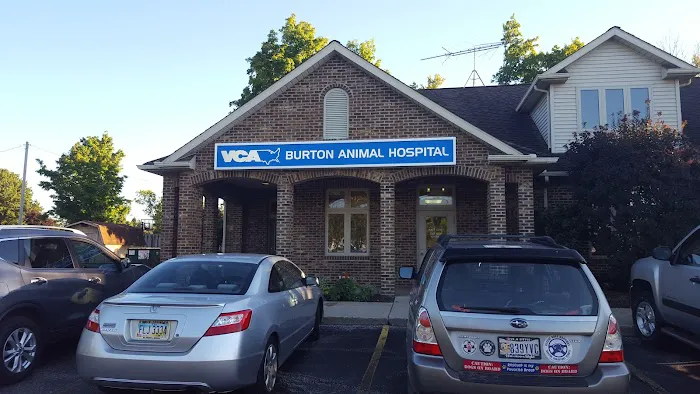 VCA Burton Animal Hospital 5