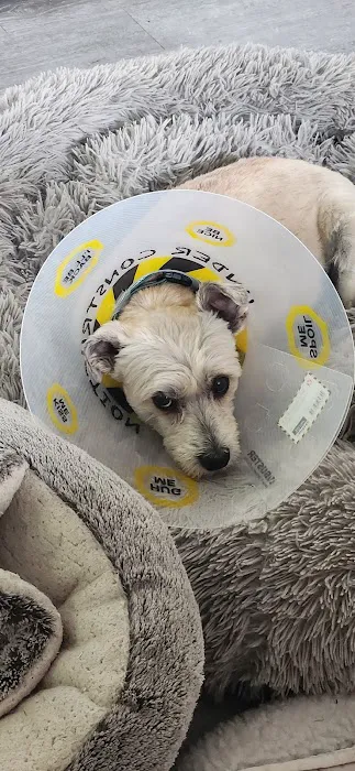 VCA Burton Animal Hospital 8