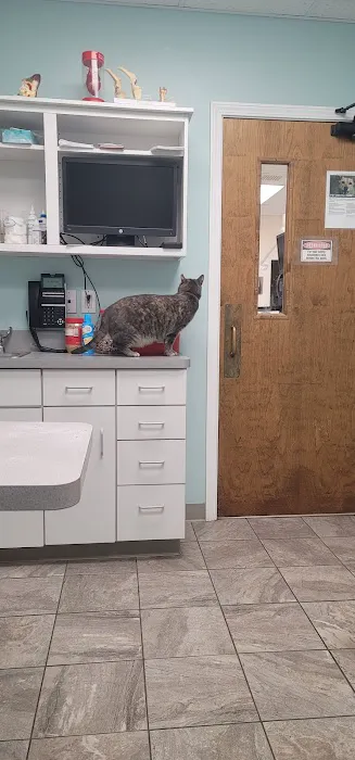 VCA Burton Animal Hospital 9