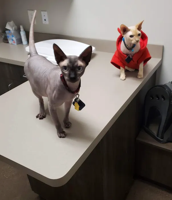 Kirtland Veterinary Hospital 2