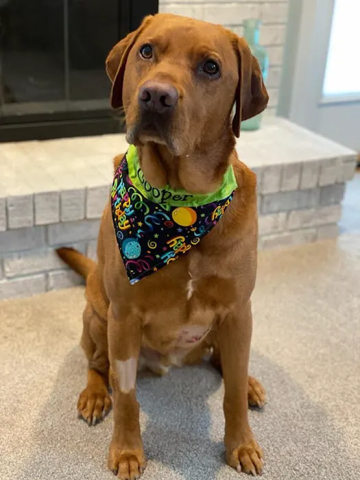 Kirtland Veterinary Hospital 3
