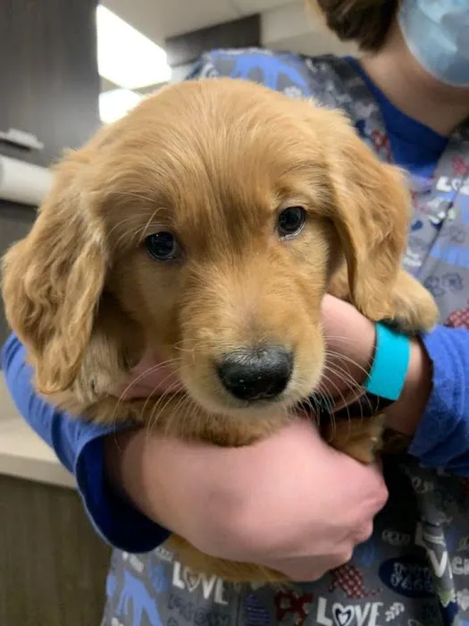 Kirtland Veterinary Hospital 4