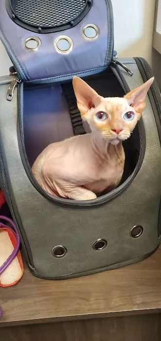 Kirtland Veterinary Hospital 5