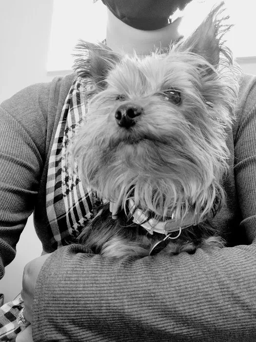 Kirtland Veterinary Hospital 9