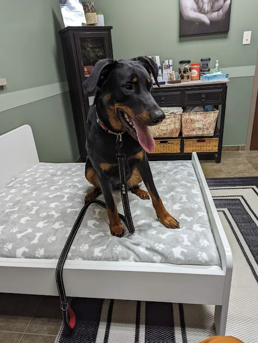 Animal Clinic of Chardon 2
