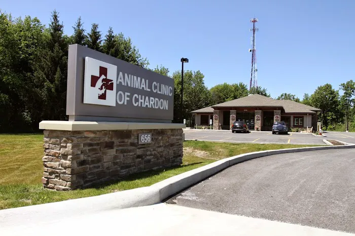 Animal Clinic of Chardon 4