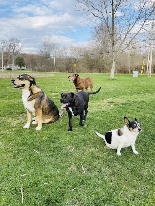Newton Falls Animal Hospital 1