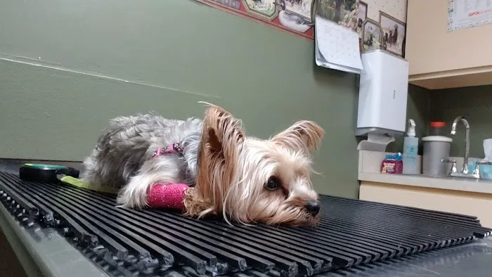 Newton Falls Animal Hospital 7