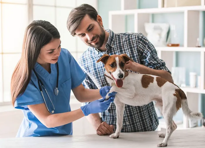Tyler Animal Clinic 2