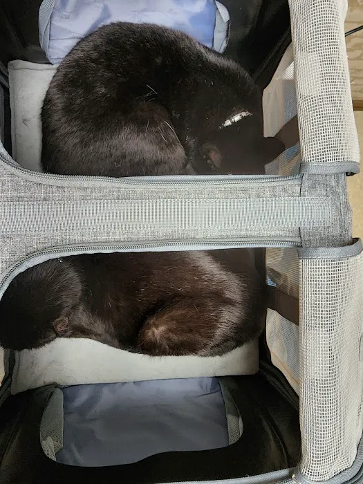 Tyler Animal Clinic 6