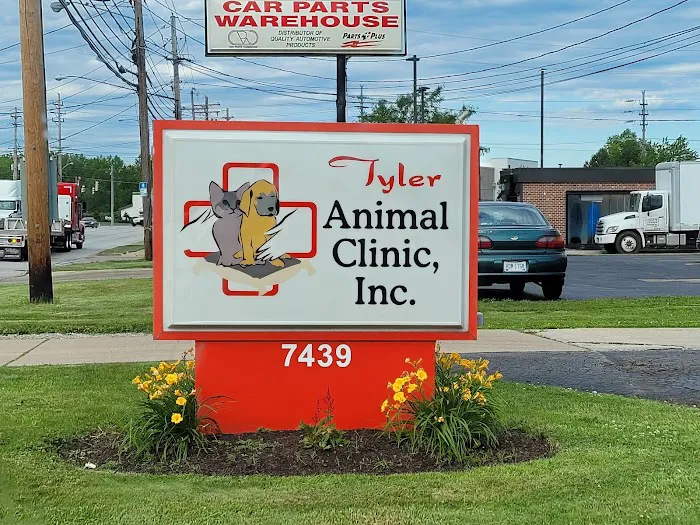 Tyler Animal Clinic 7