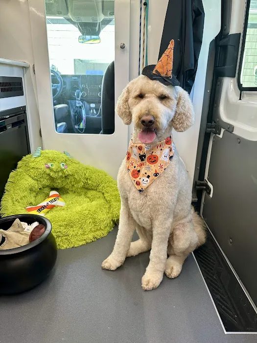 Family Companion Animal Care Center 3