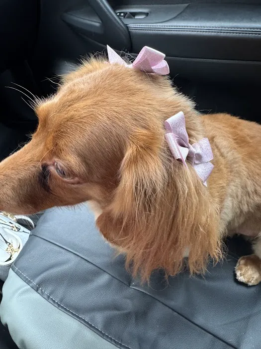 Family Companion Animal Care Center 1