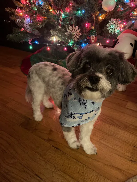 Family Companion Animal Care Center 4
