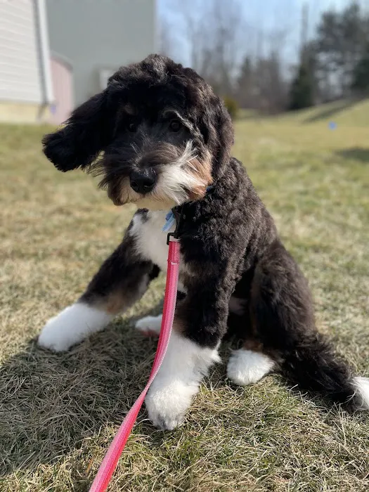 Family Companion Animal Care Center 2